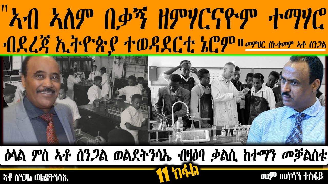 መበል 11 ክፋል ዕላል ምስ ኣቶ ሰንጋል ወልደትንሳኤ ብዛዕባ ቃልሲ ከተማን መቓልስቱ( Interview With Sengal Weldetnsaie Part 11