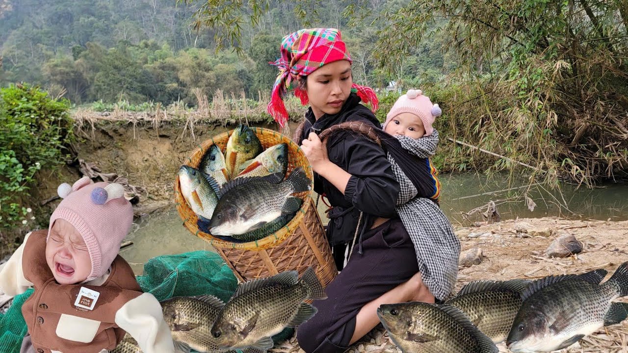 A single mother carries her poor child on her back while catching fish to sell