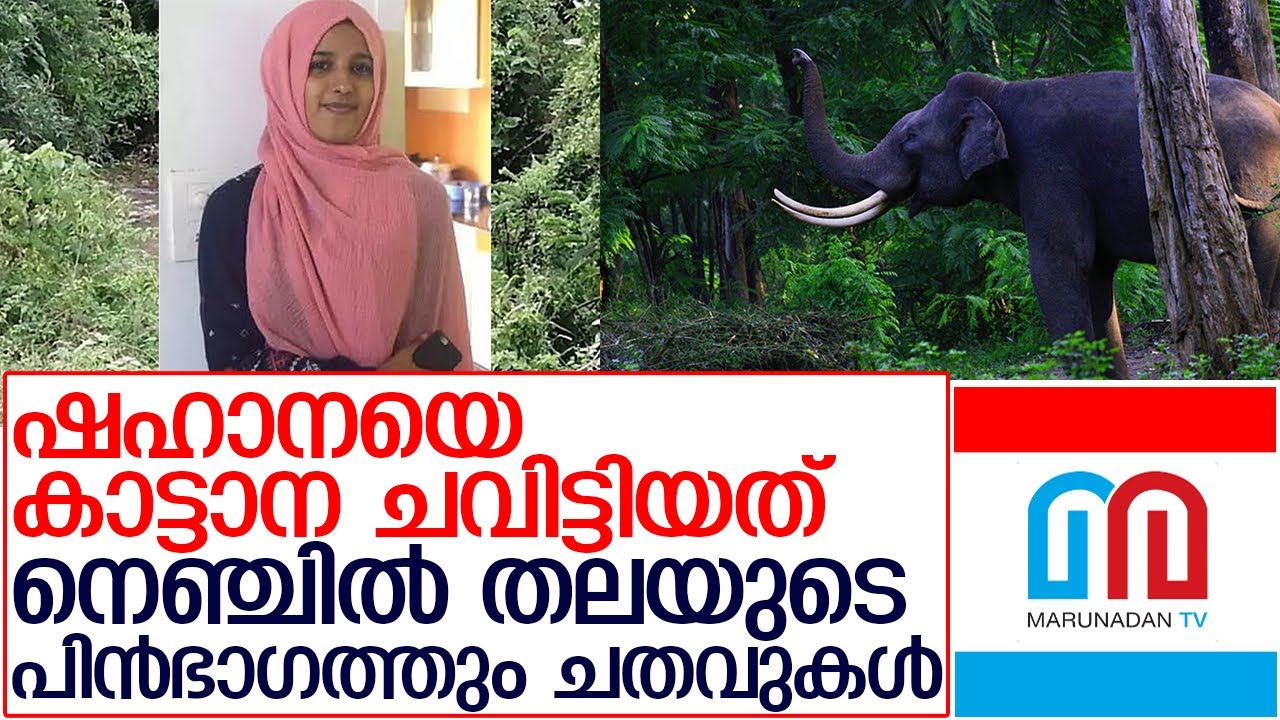 ഷഹാനയുടെ പോസ്റ്റ്‌മോര്‍ടം റിപ്പോര്‍ട് പുറത്ത്    I   Shahana -wayanad
