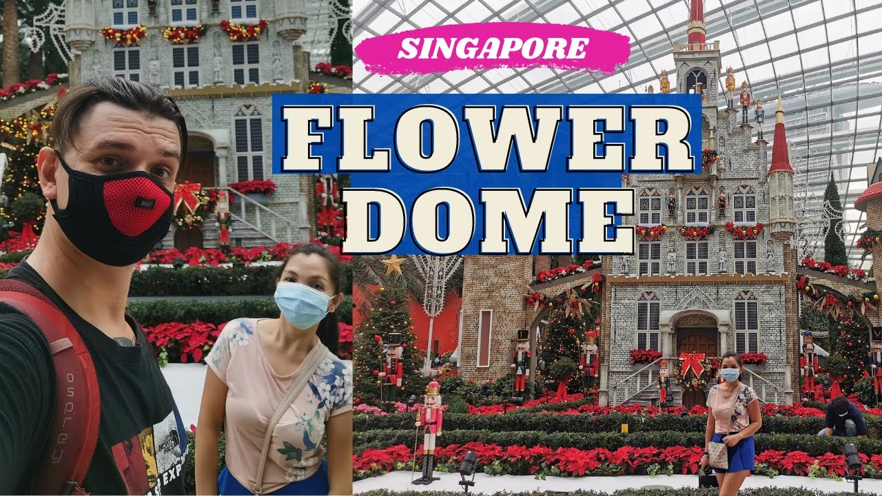 FLOWER DOME DIY TOUR IN GARDENS BY THE BAY SINGAPORE | CHRISTMAS THEME 2020