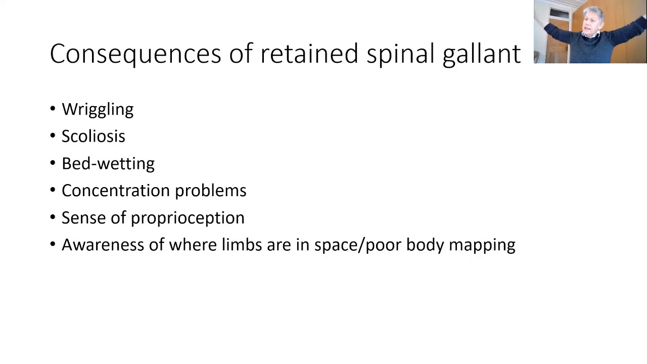 Spinal Galant