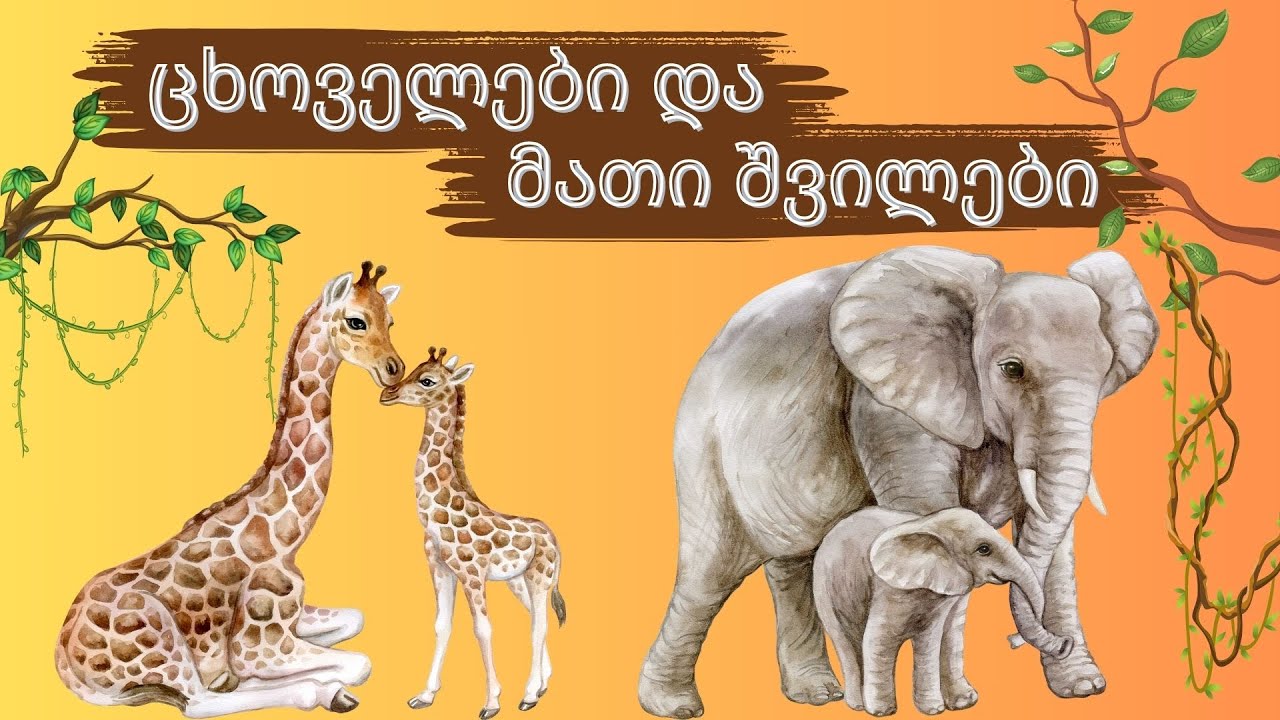 ცხოველები და მათი შვილები