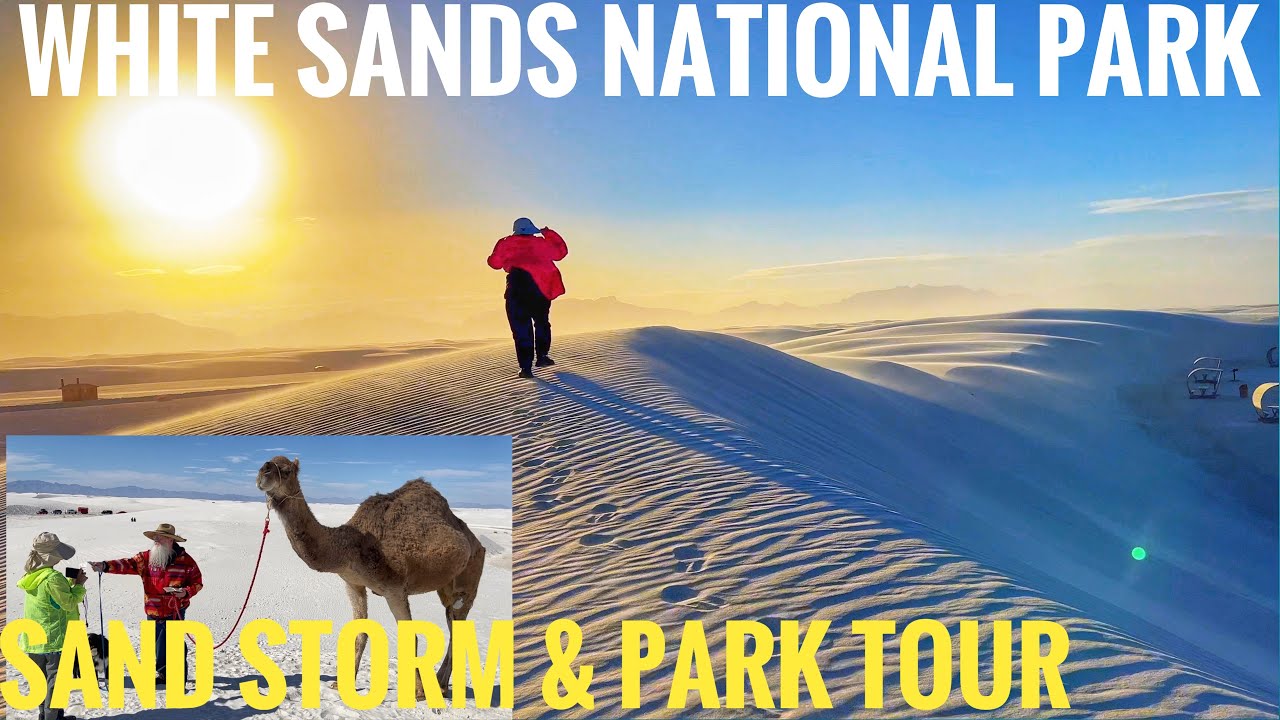 WE SAW A CAMEL & ENCOUNTERED A SAND STORM WHILE VISITING WHITE SANDS NATIONAL PARK IN NEW MEXICO