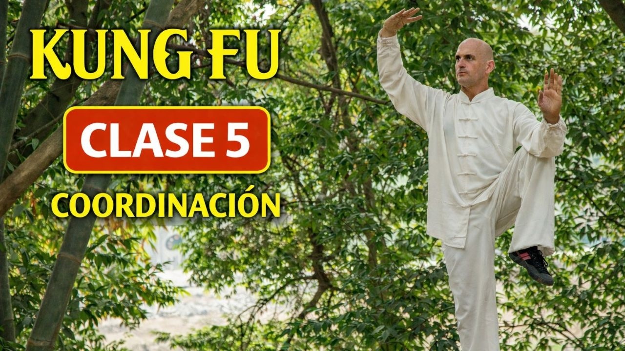 🙏Cómo APRENDER KUNG FU EN CASA paso a paso 👌 para Principiantes CLASES COMPLETA 🚀# 5