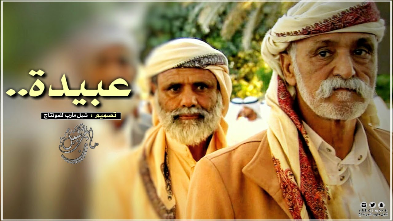#قائد قوات التحالف _ وقبائل عبيدة | شيلة _ عبيده ؛ من عبيدة يوم ضربات الصقايل |