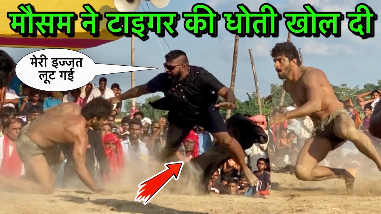 मौसम अली ने टाइगर की इज्जत लूट ली | mausam ali aur tiger ki kushti | mosam ali ki new kushti