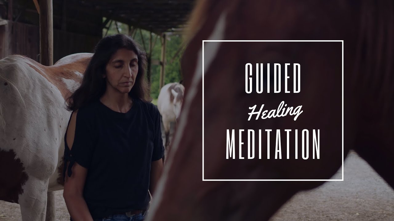 Guided Healing Meditation with the Singing Horse Herd - Follow Along