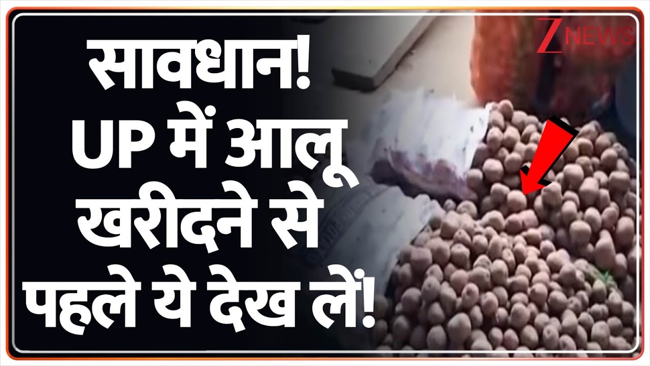 Fake Potato In UP: सावधान! UP में आलू खरीदने से पहले ये देख लें! | Breaking News | CM Yogi | UP News