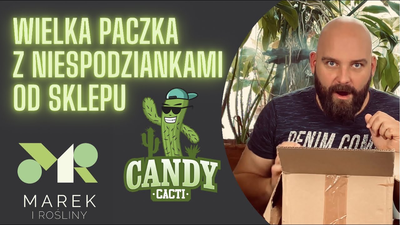Dostałem paczkę od CANDY CACTI! Nie wiem, co jest w środku!😱Film zawiera niezdrową ekscytację🤣
