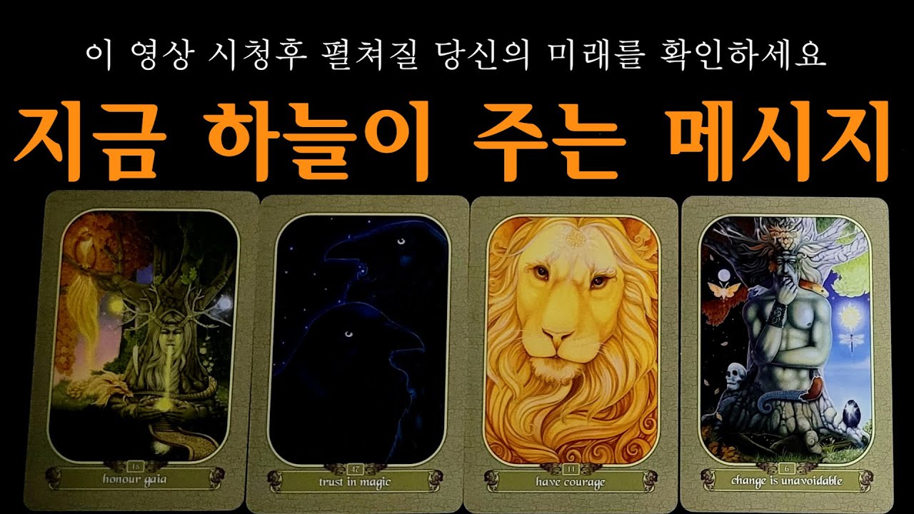[타로] 지금 나에게 하늘이 주는 천운(天運) 축하드려요🙏