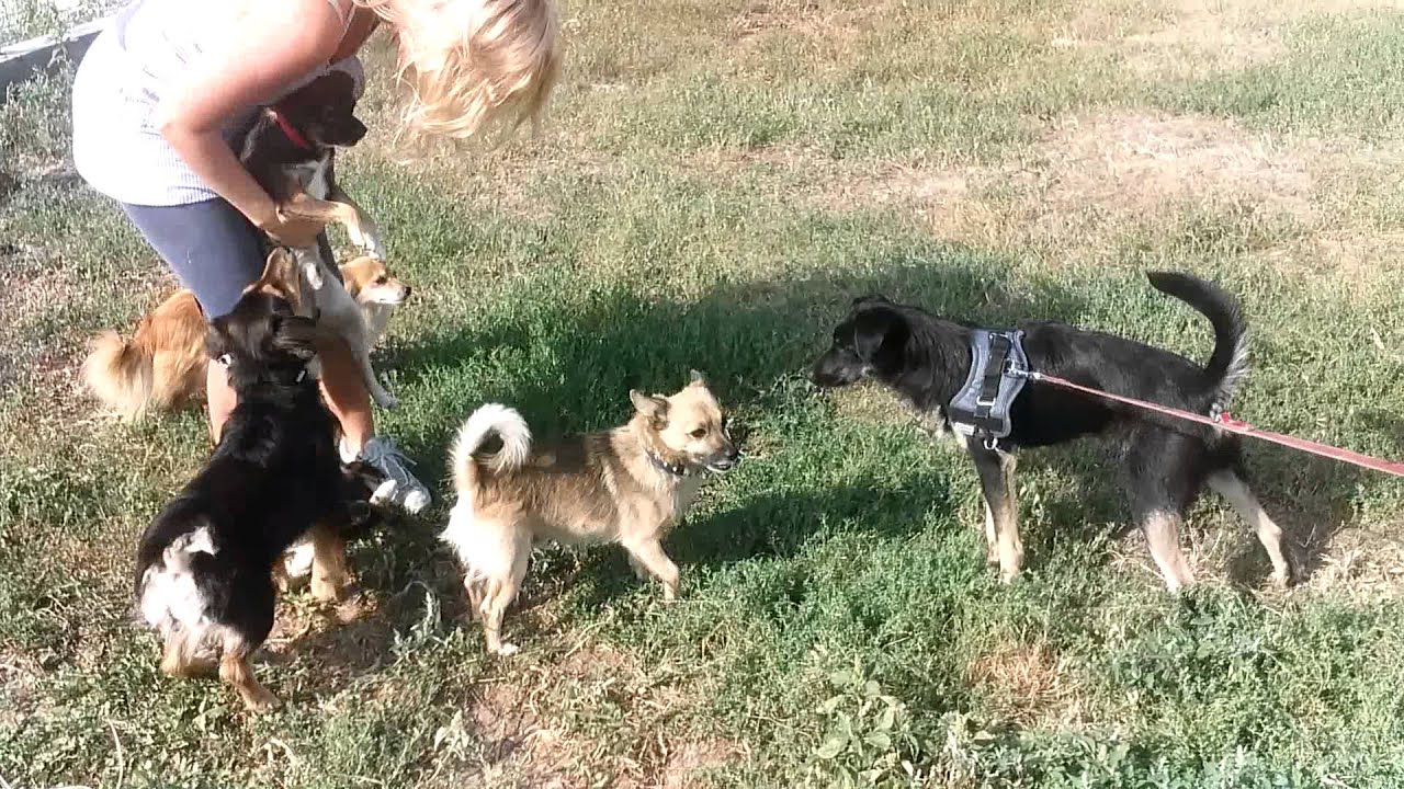 20150823 091213