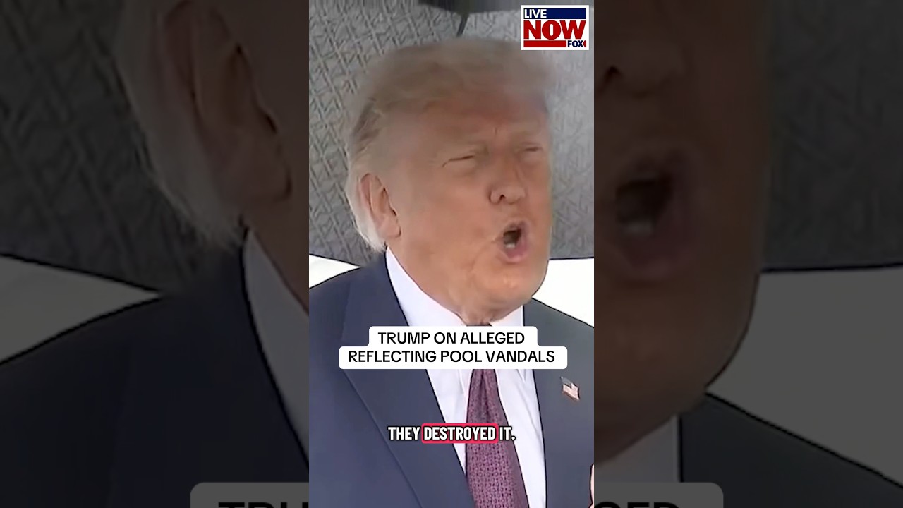 President Trump says 6 people have been arrested for allegedly vandalizing the Reflecting Pool.