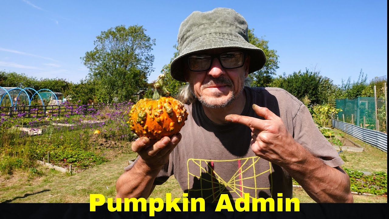 Pumpkin Admin - Time for some maintenance of the pumpkin and squash as Autumn is on the horizon