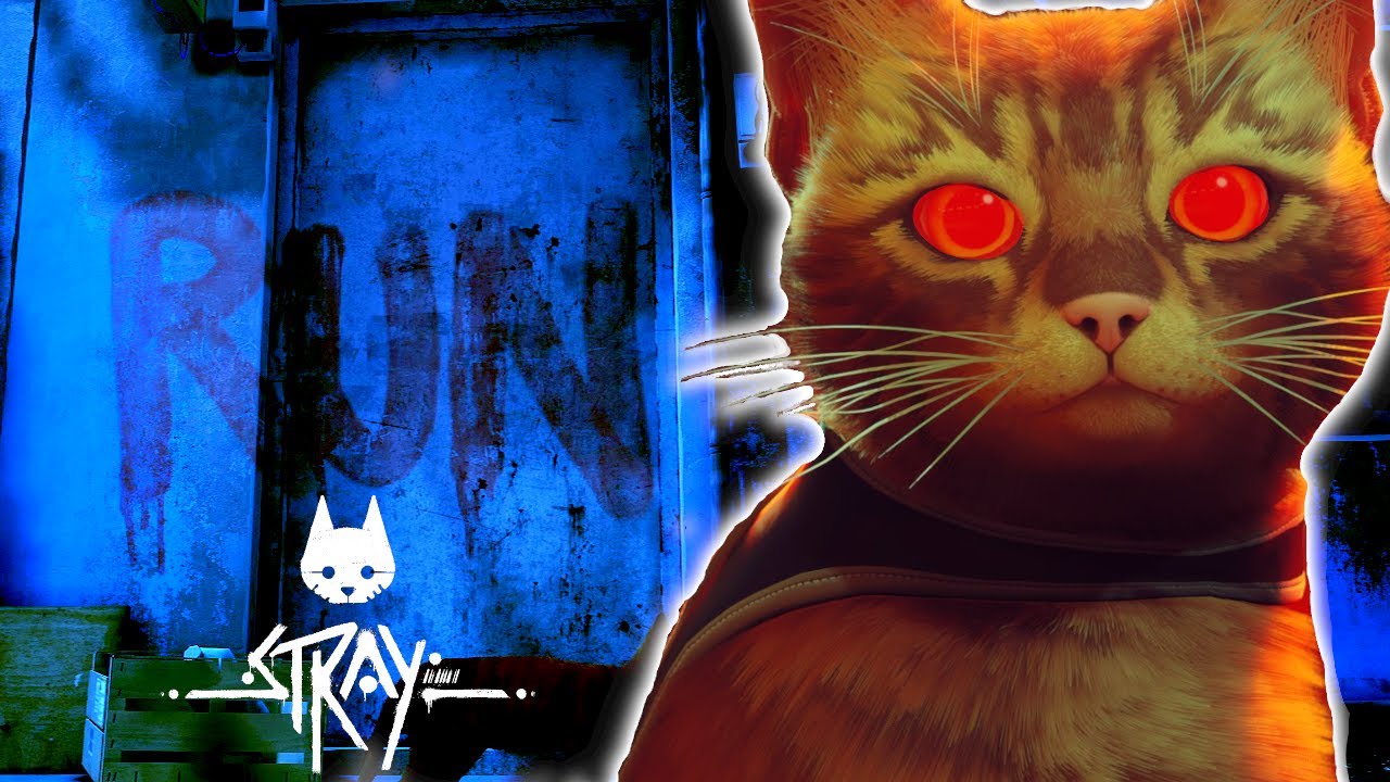 The TERRIFYING Backstory of Stray Explained