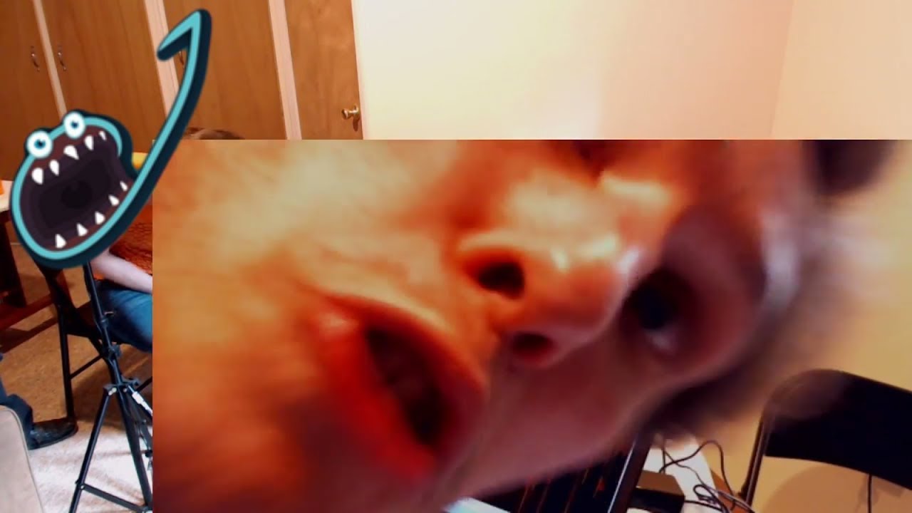 Jerma Streams - The Polygraph Stream