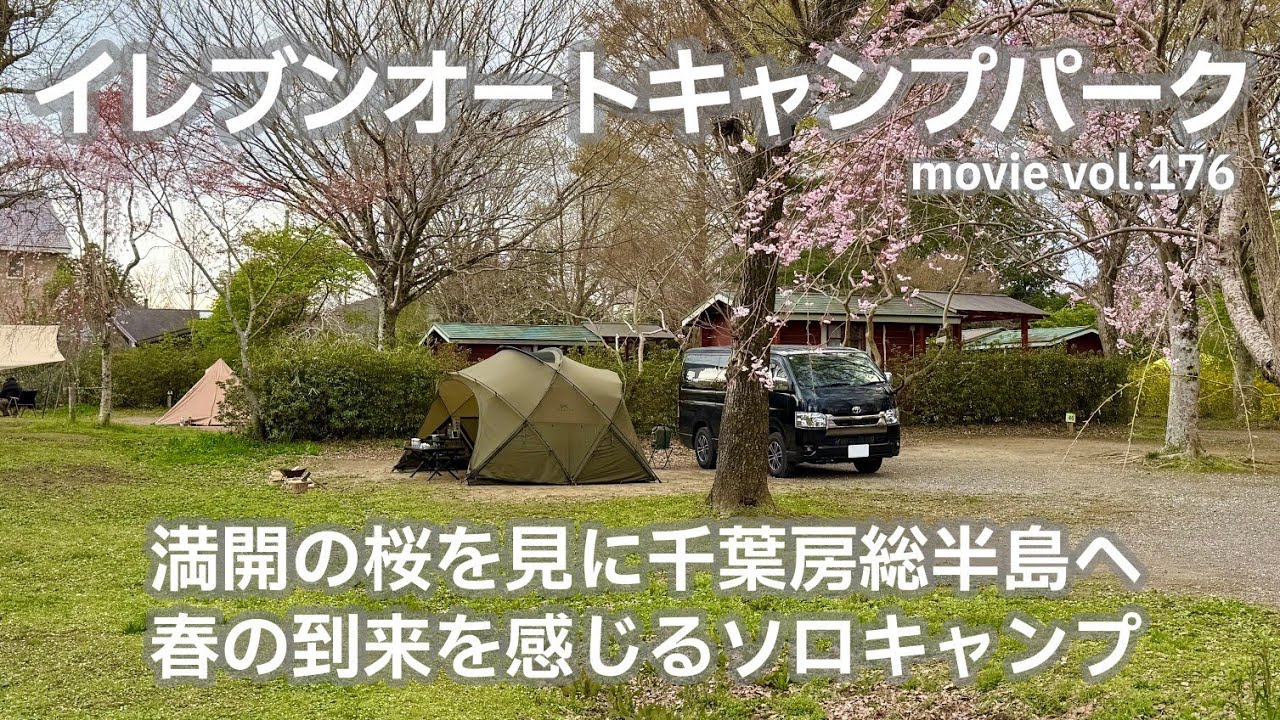 20250404千葉県【イレブンオートキャンプパーク】満開の桜を見に千葉房総半島へ。春の到来を感じるソロキャンプ。
