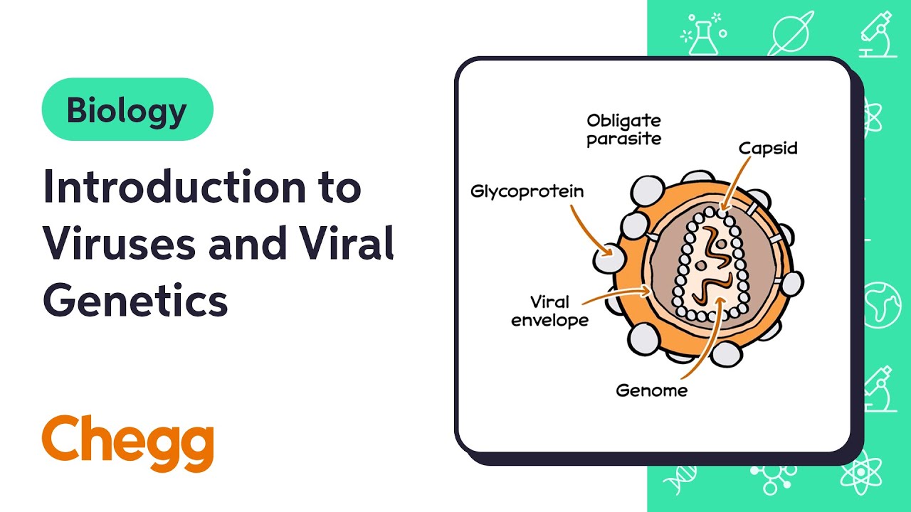 Introduction to Viruses and Viral Genetics | Biology