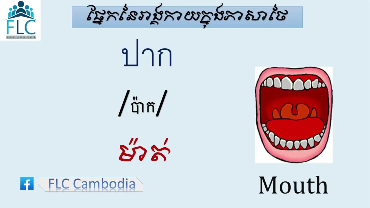 សិក្សាពាក្យថៃដែលទាក់ទងនឹងរាងកាយ Body in Thai Language !.... #FLCCAMBODIA #THAILEARNING