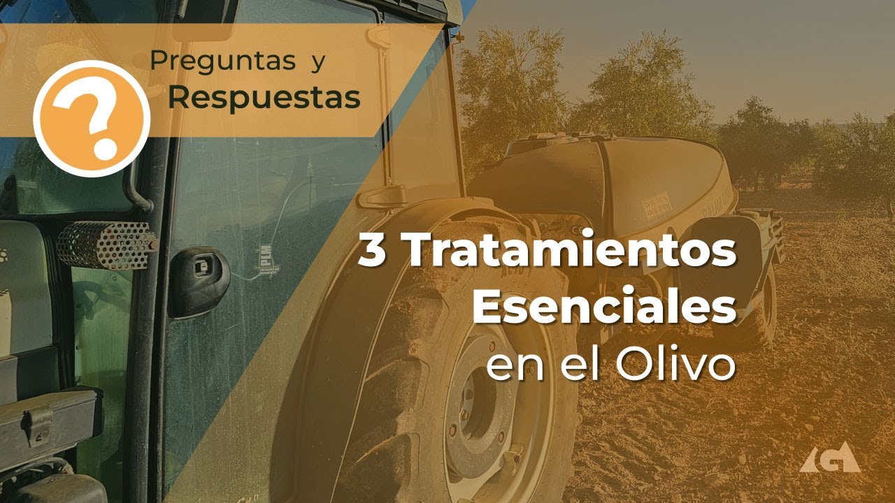 3 Tratamientos Esenciales en el Olivo