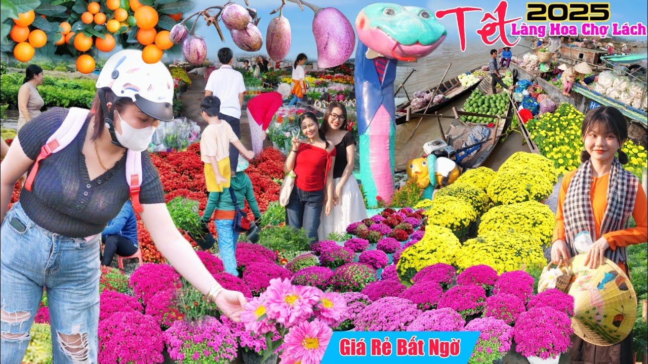 Làng hoa chợ lách 2025 lộ nhiều kiểng độc lạ báo giá tết Ất Tỵ nhiều người về mua