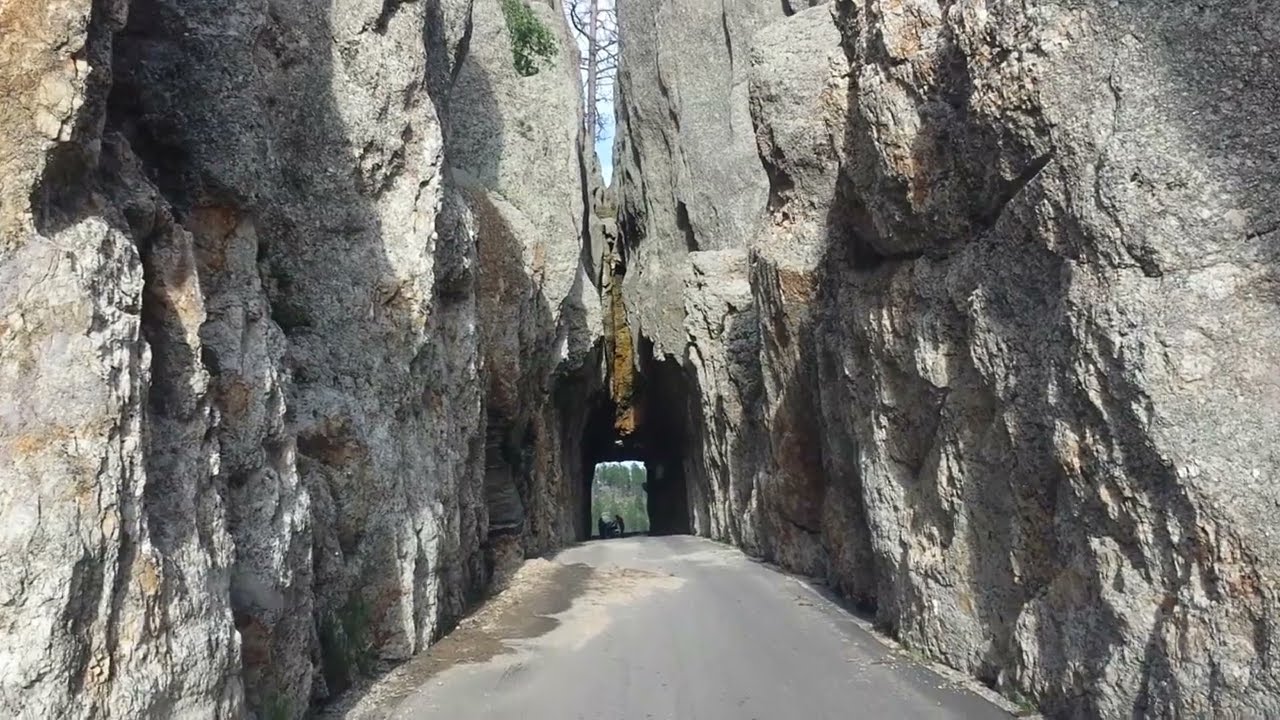 Driving Through the Needle's Eye Tunnel - Custer State Park - Custer, South Dakota #alongtheway