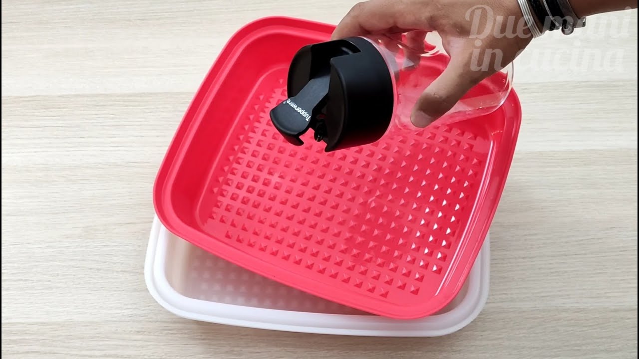 Super Marinata e Condi e Servi da 600 ml Tupperware JR Season Serve Plat â Mariner Caixa Barbecue