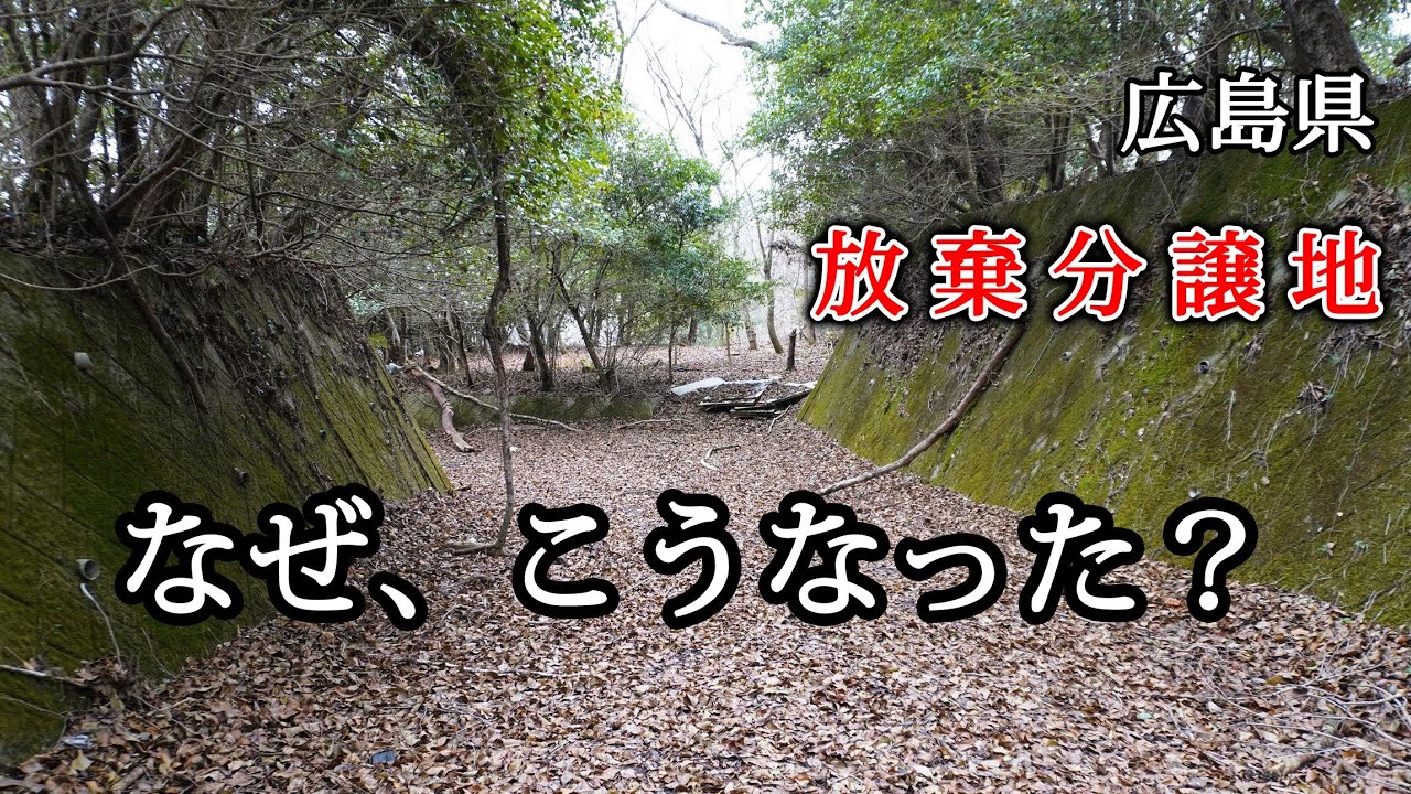 広島県　放棄分譲地　なぜ、こうなった？