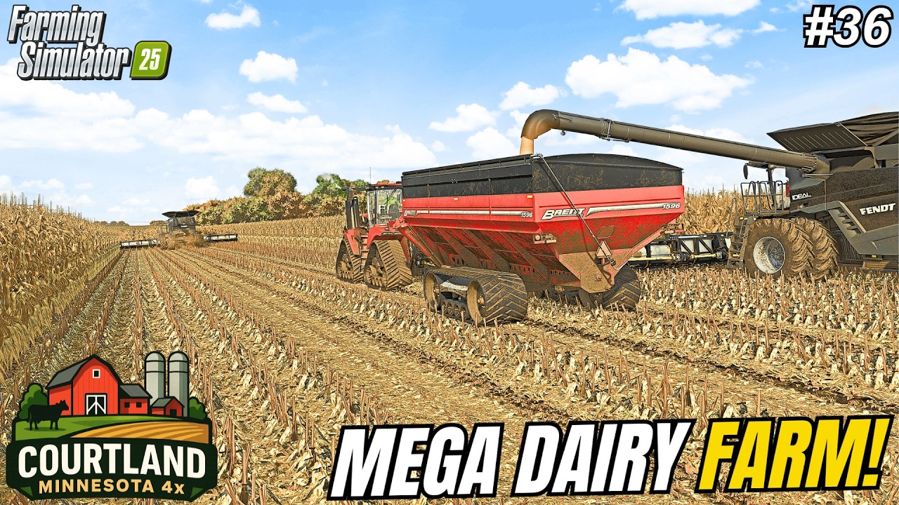 HARVESTING A 200 ACRE MEGA CORN FIELD ON THE $15,000,000 DAIRY FARM! | Courtland, MN | FS25 #36