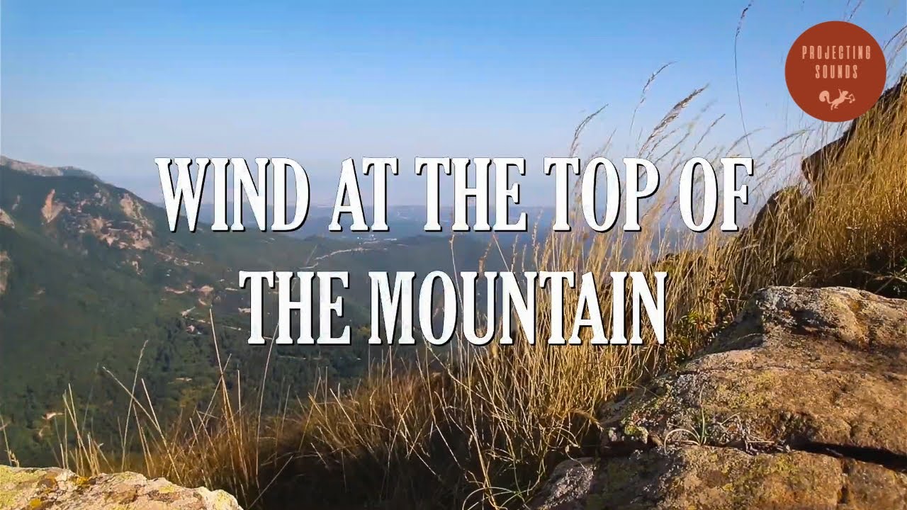 🎵 Sonido del Viento en la Monta&ntilde;a con Chicharras para Relajarse y Dormir 😴 [10h]