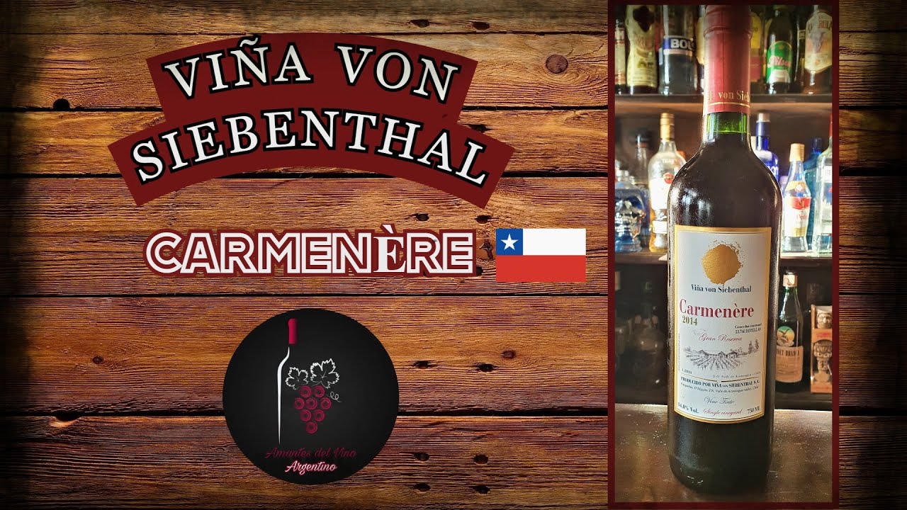 Viña Von Siebenthal - Carmenère | Vinos Chilenos 🇨🇱