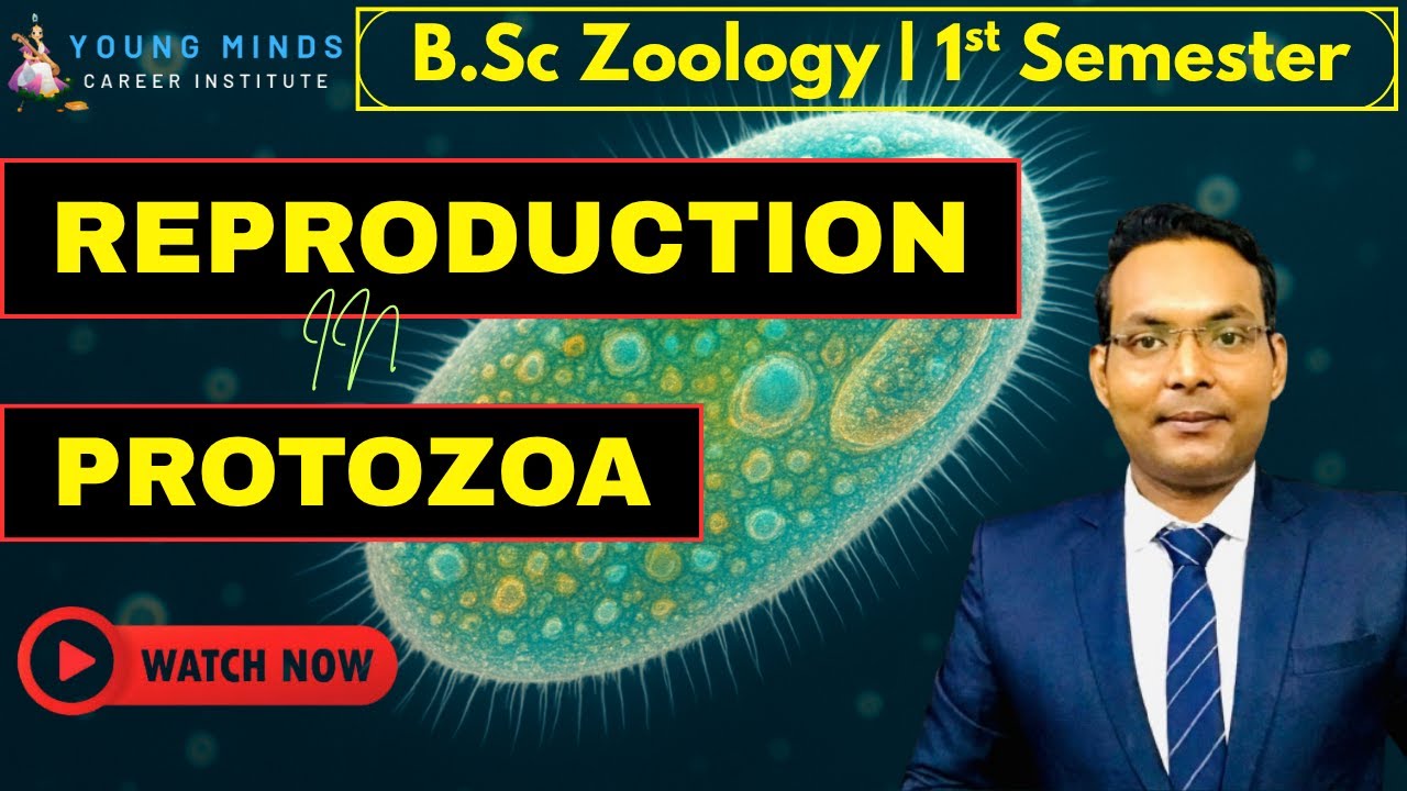 Reproduction in Protozoa