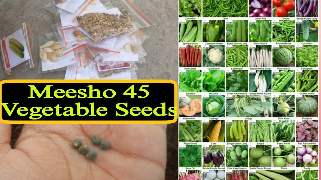 45 सब्जियों के बीज /  45 vegetable seeds by Meesho / Best Vegetable seeds #seedsowing#gardening
