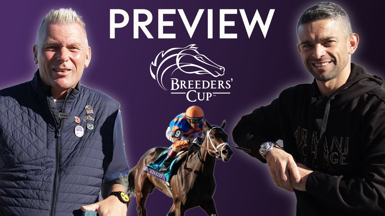Лучшая ставка 22-1! Обзор и советы Breeders&rsquo; Cup от Мэтта Чепмена и Умберто Рисполи