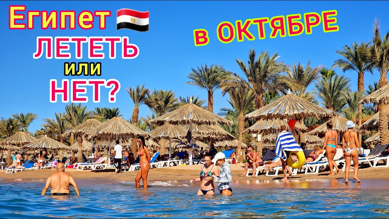 Египет в ОКТЯБРЕ 🇪🇬 ЦЕНЫ ПАДАЮТ❗Стоит ли ЕХАТЬ? Погода СЕЙЧАС. Какой КУРОРТ выбрать