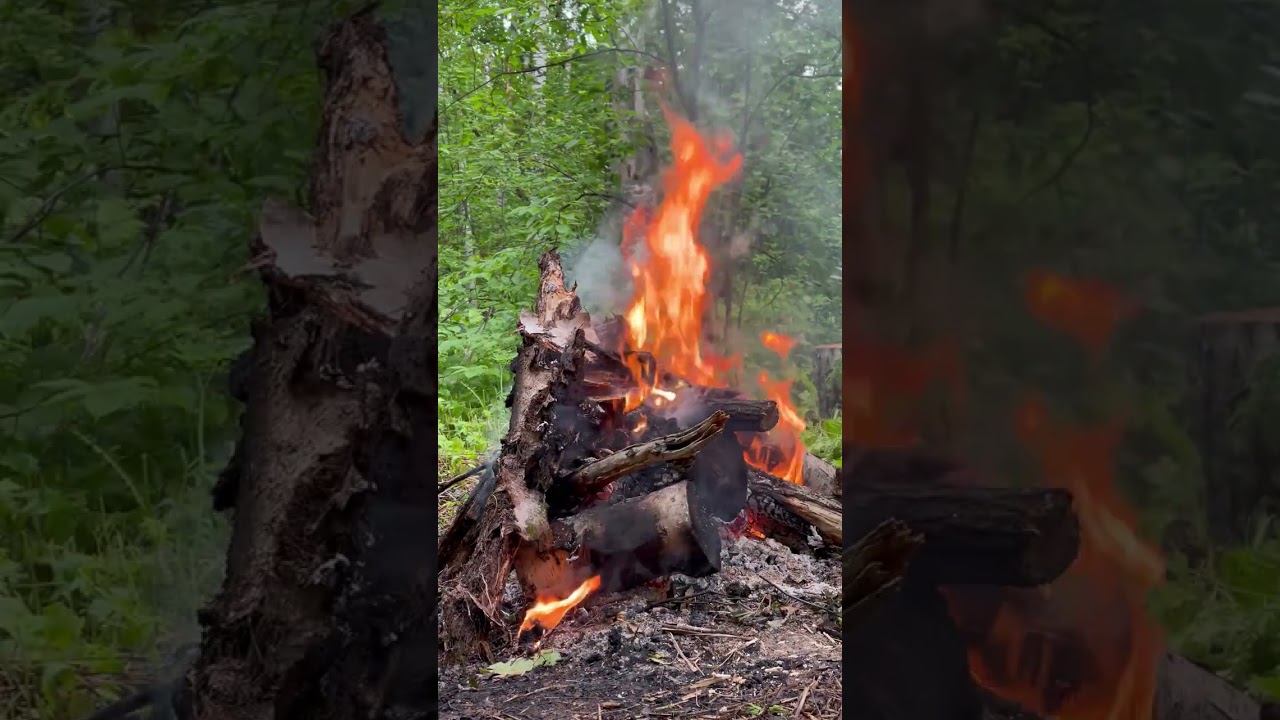 One Item That Could Save Your Life  #prepping #ferrorod #survival  #Shorts #firestarting #bugoutbag