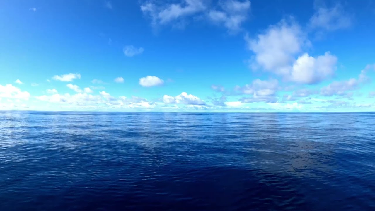 Mindfulness with Jeremy - Gratitude