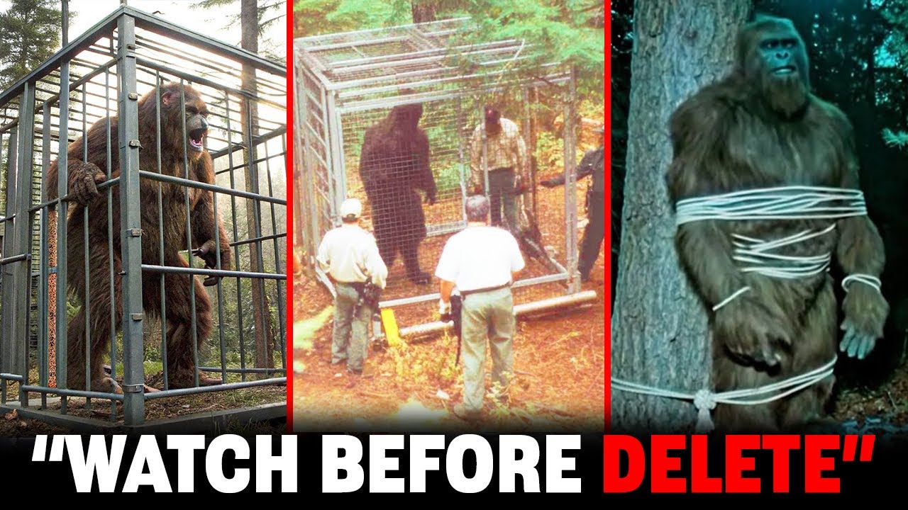 Bigfoot Encounter: The Best New Footage Caught On Camera In One Video ! Scientists Are Shocked!