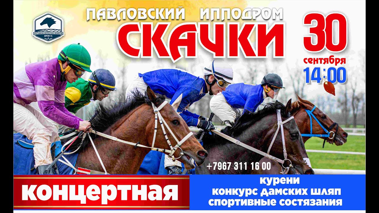 Павловские скачки, посвящённые дню Павловского района