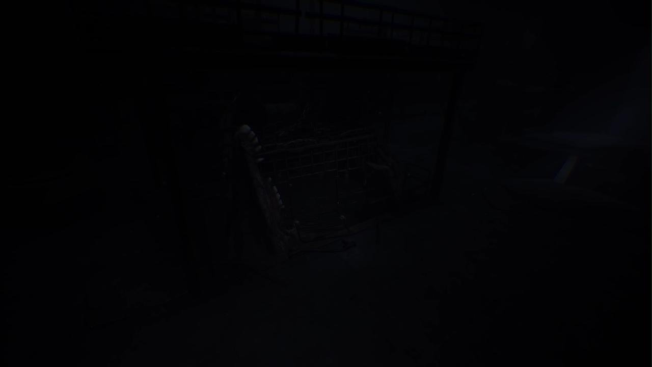 REANIMAL_20260223131653