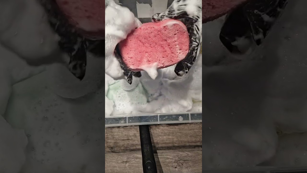 ##asmr #satisfying #foam #sound #suds #crunchy #crisp #fluffy #frothy #white 