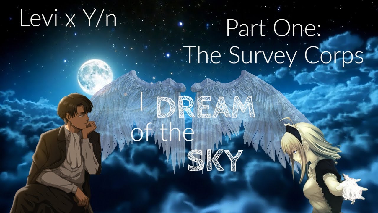 Levi x Y/n: Part 1 || Attack on Titan [1k subs special]