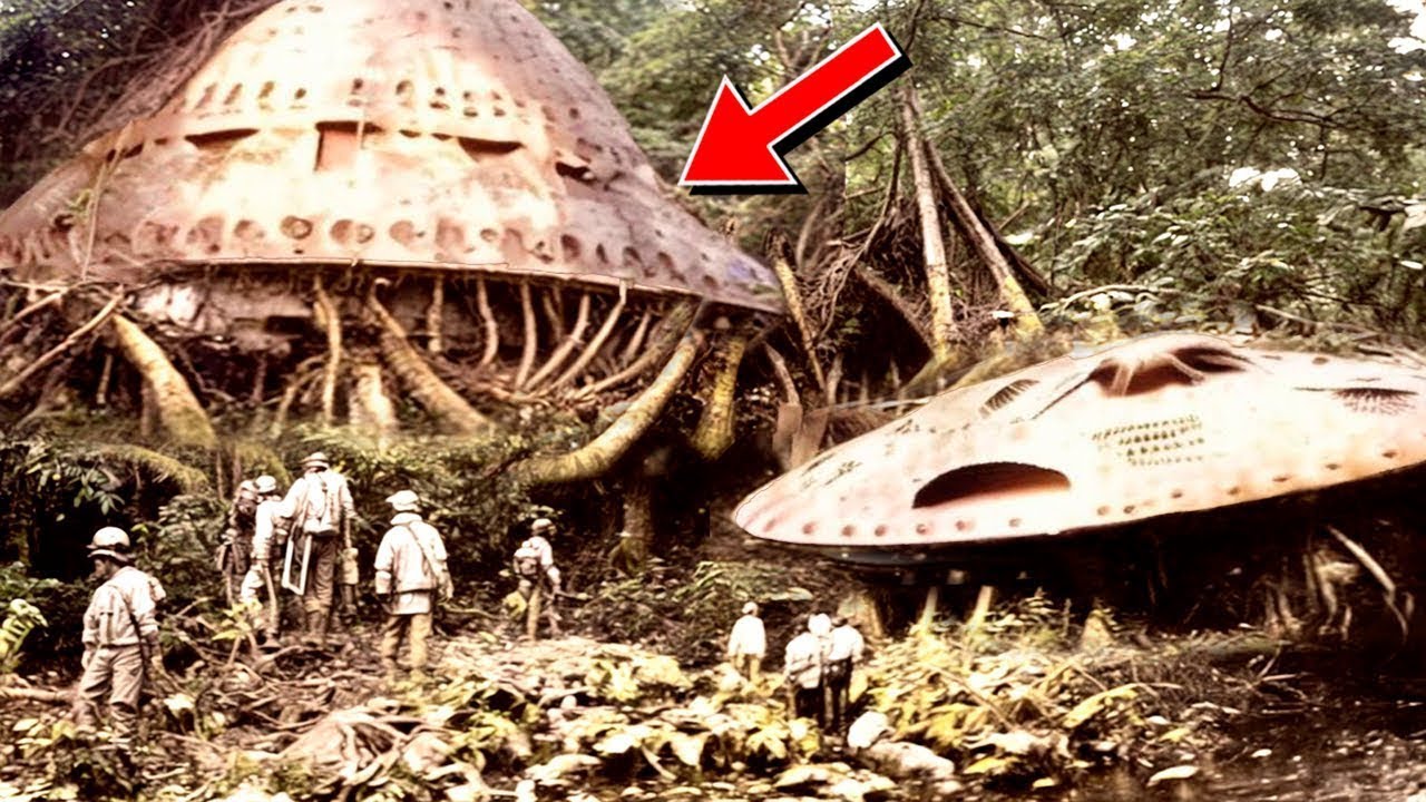 Hallazgos MISTERIOSOS Realizados En La SELVA