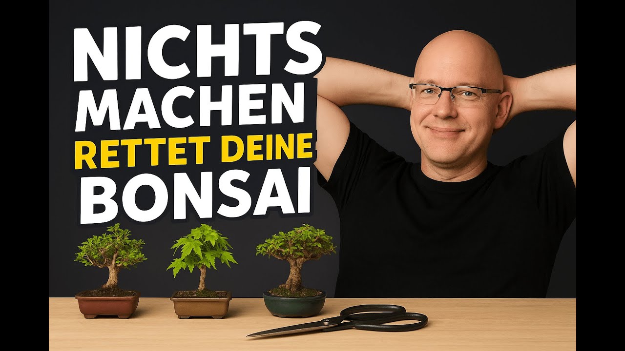 Diesen Bonsai Trick musst du kennen!