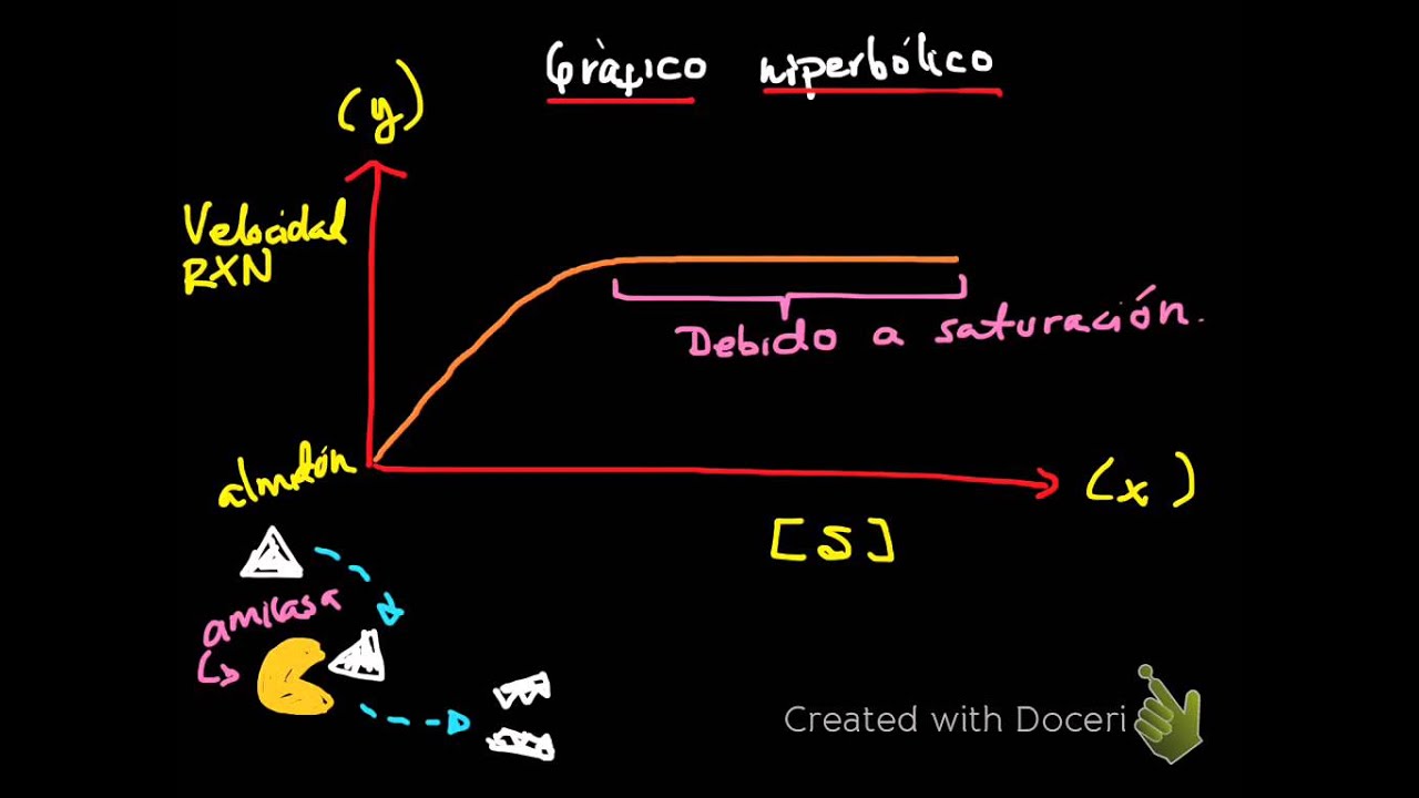 Cinética Enzimática (I)