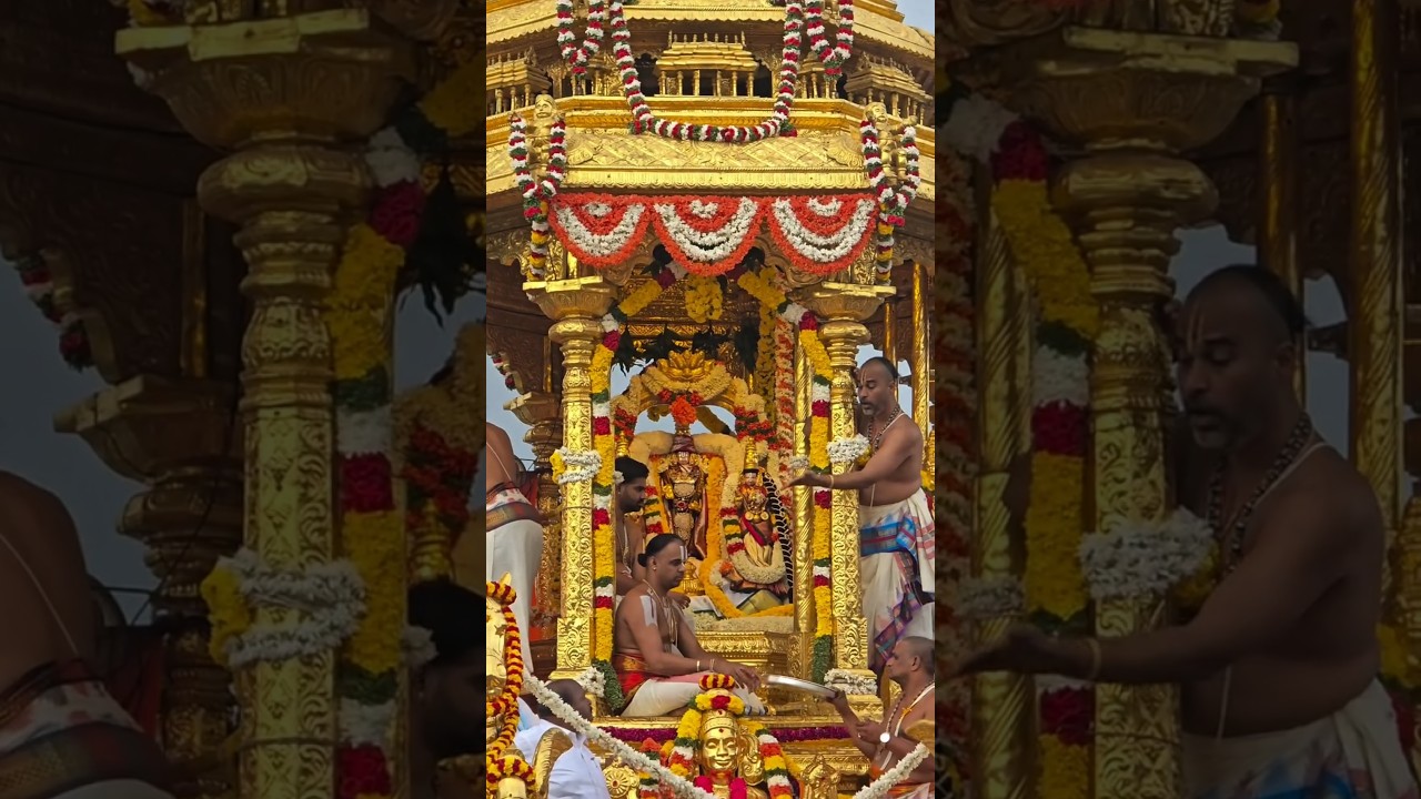 Tirumala Swarna Ratham Darshan Lord Malayappa Swamy Golden Chariot Procession Tirupati Balaji Temple