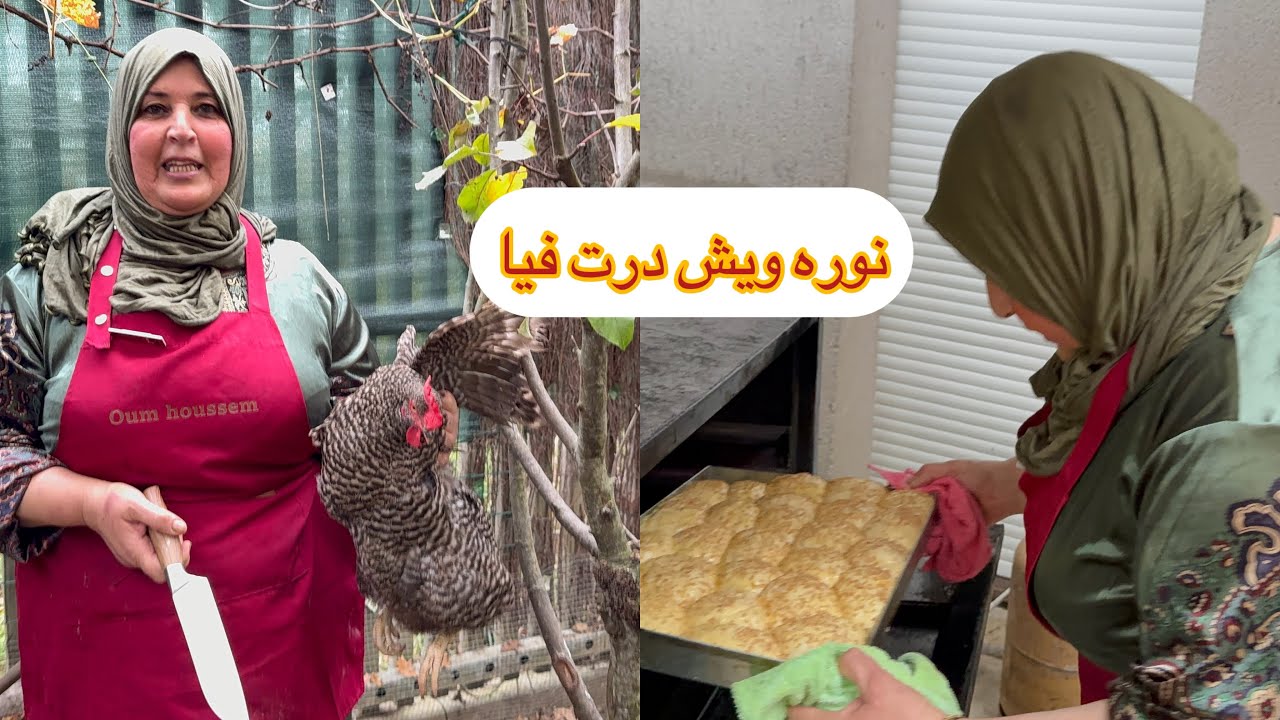 ‏بنتي جت عندي اليوم وحضرنا ￼ بريوش القطني