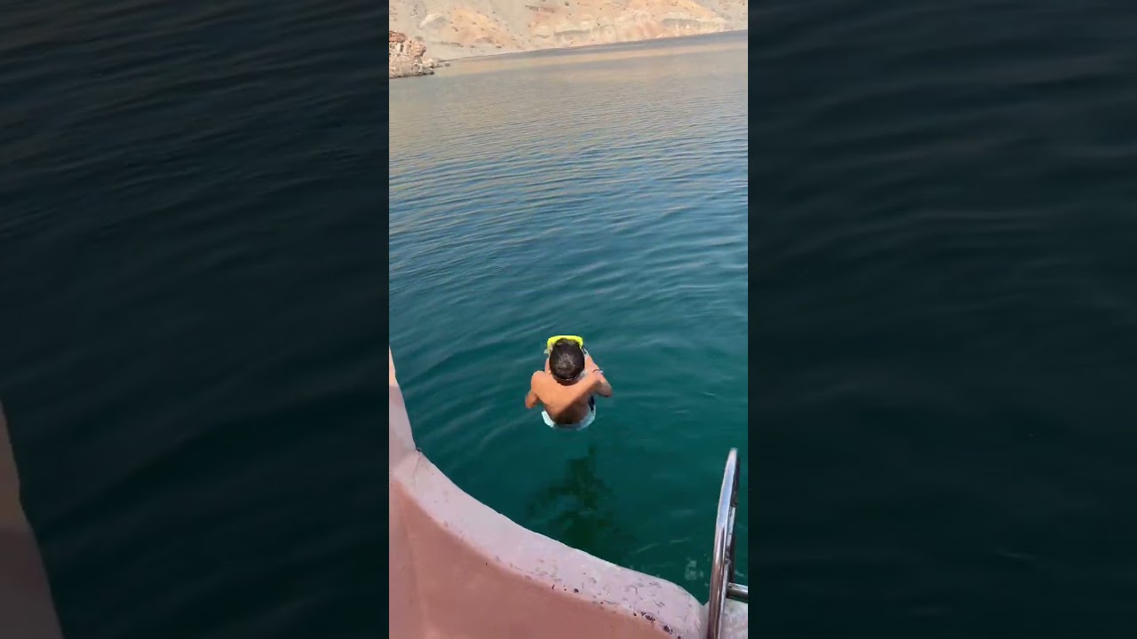 CE PETIT PLONGE AVEC LES DAUPHINS !! #dubai #oman #abudhabi #beach #fyp #short #viral