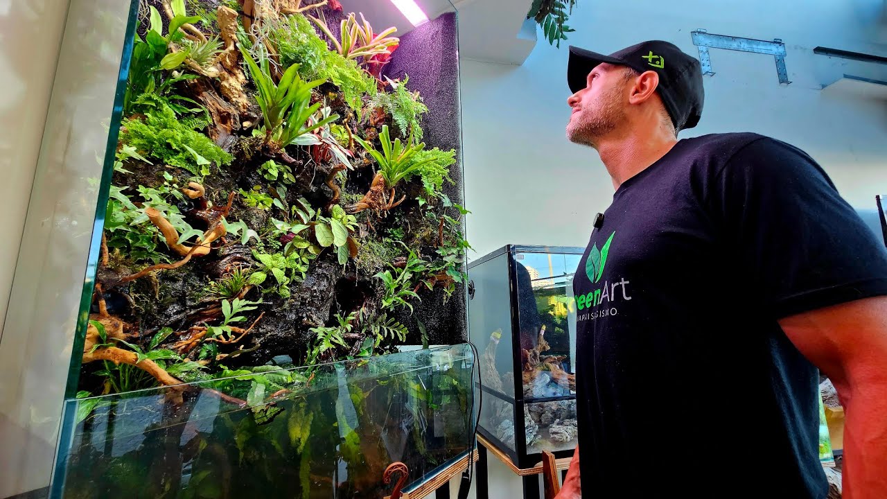 PALUDÁRIO NATURAL FANTÁSTICO COM 1,5M DE ALTURA!