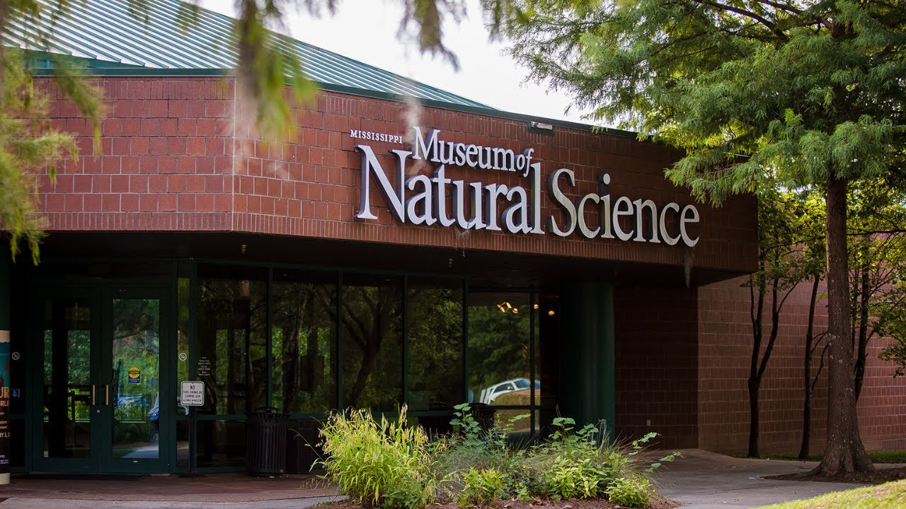 MDWFP's Museum of Natural Science