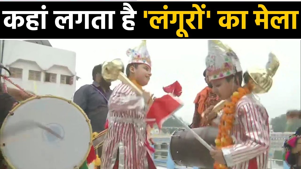 Amritsar में अनोखा Langur fair शुरू, मनोकामना पूरी होने के बाद Langur का रुप धारण करते हैं Children